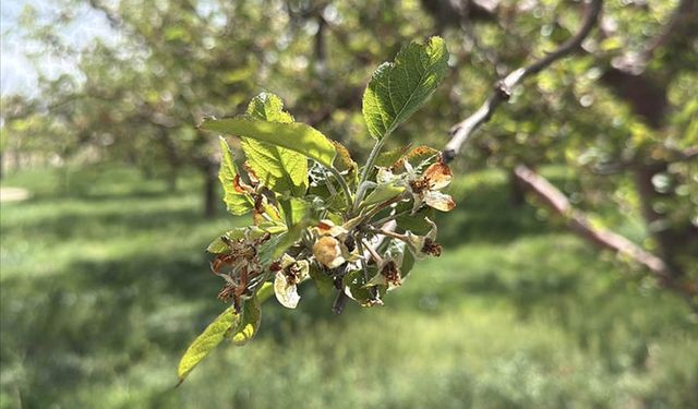Üreticilere 23 milyar liralık hasar tazminatı ödendi