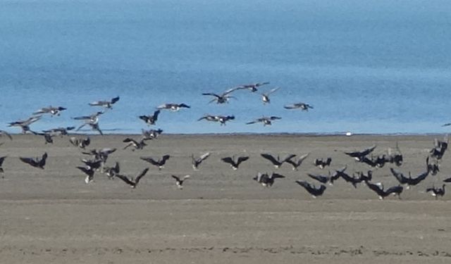 Zorlu göçün durağı Erçek Gölü