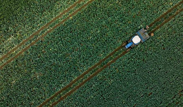 Çiftçilere 1,1 milyar liralık tarımsal destekleme ödemesi yapılacak