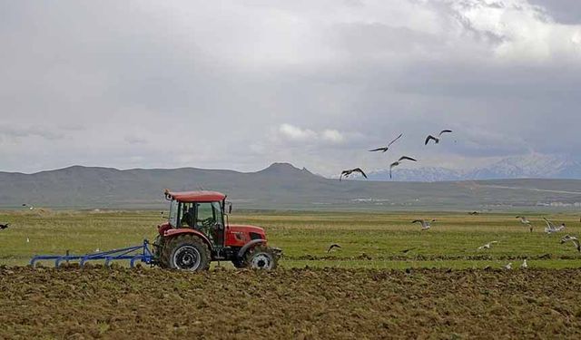 Çiftçilere destekleme ödemesi bugün yapılacak
