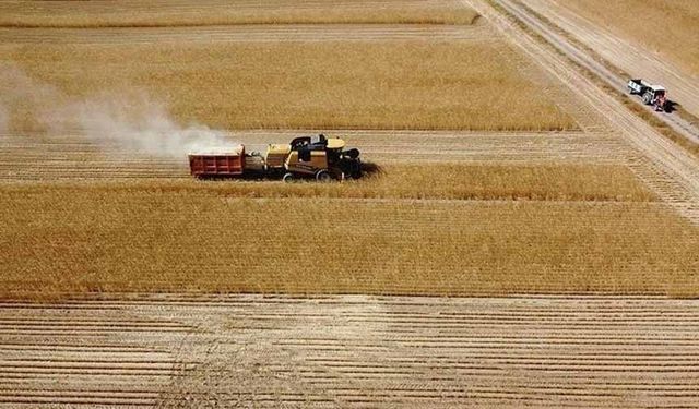 Çiftçilere 2 milyar lira tarımsal destekleme ödemesi yapılacak