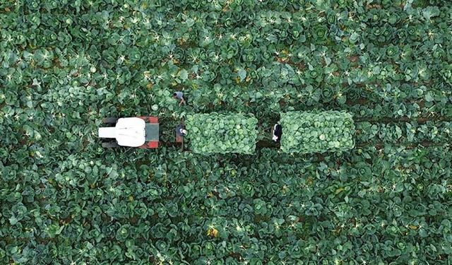 Çiftçi Kayıt Sistemi'ne başvurmak için son tarih 31 Aralık