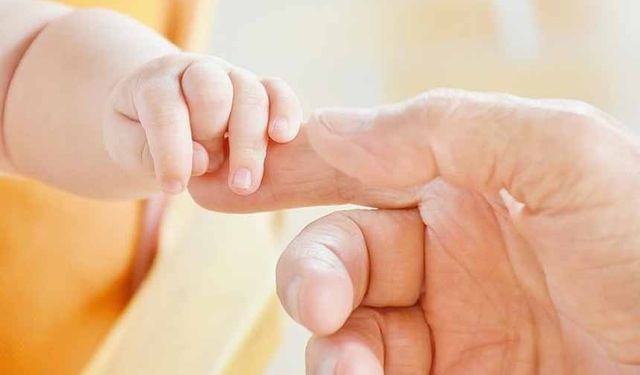 Türkiye'de doğurganlık hızı aralıksız düşüyor