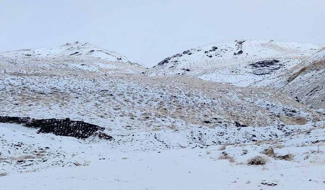 Erek Dağı ve çevresi beyaza büründü