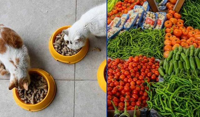 Kasımda fiyatı en çok artan ile en fazla düşenler belli oldu