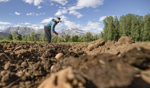 IPARD-III kapsamında 2,2 milyar lira hibe verilecek