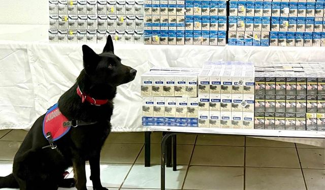 Van'da 8 bin 200 paket gümrük kaçağı sigara ele geçirildi