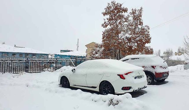 Başkale'de kar etkili oldu