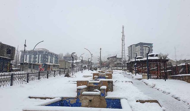 Başkale'de kar kalınlığı 20 santimetreyi geçti