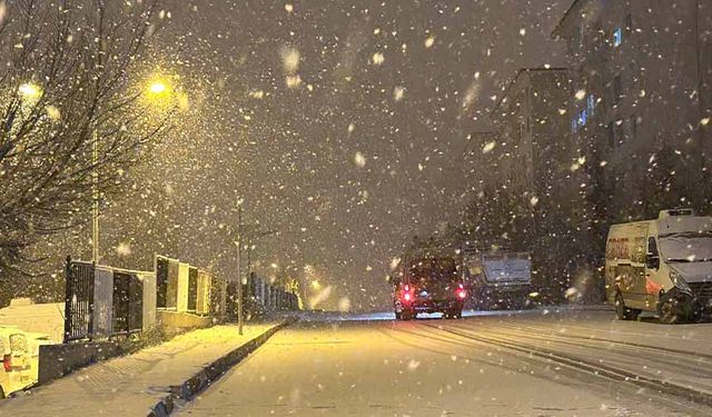Van'da yoğun kar yağışı