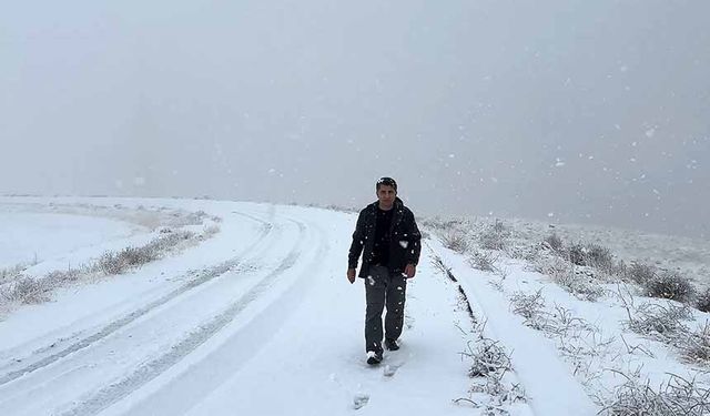Van Gölü'nde bir yanda kar esareti, bir yanda su keyfi