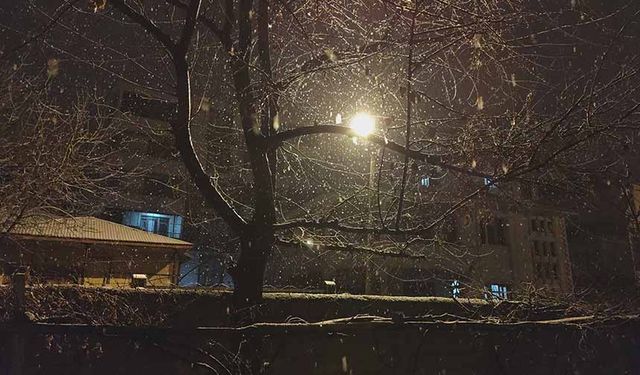 Erciş'te kar yağışı