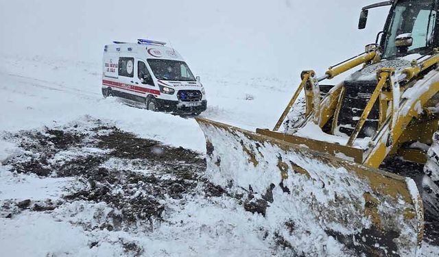 Van’da kar yağışı ulaşımı aksattı