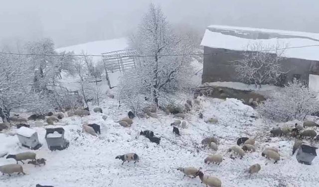 Bahçesaray'da kar yağışı
