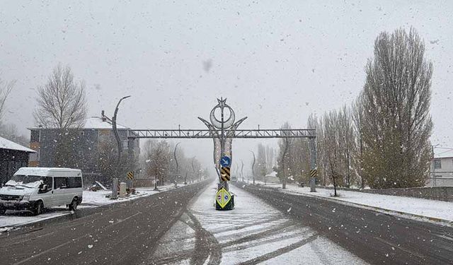 Van'ın iki ilçesinde kar yağdı