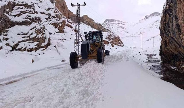 Van'da kırsalda karla mücadele sürüyor