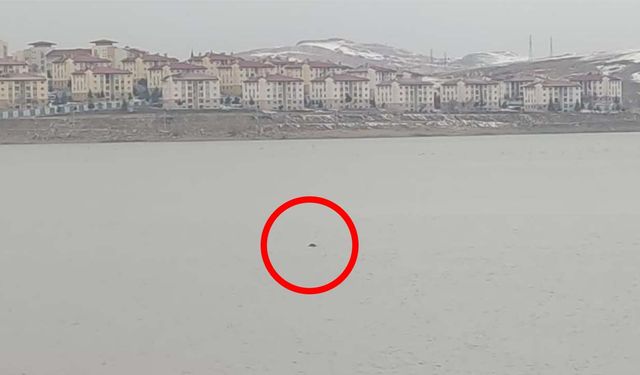 Sıhke Göleti'ne giren inek telef oldu