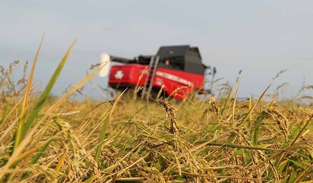 Üreticilere 4,2 milyar lira hasar tazminatı ödendi