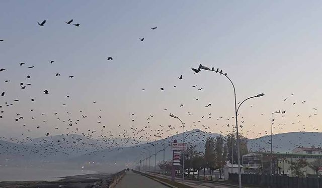 Van Gölü sahilinde gökyüzünde sıra dışı manzara