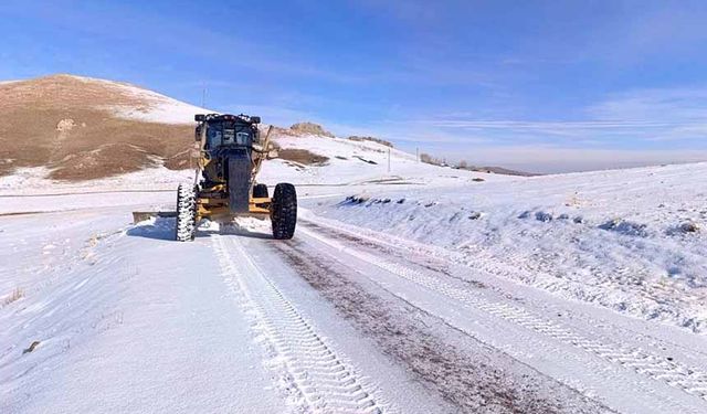 Van'da kardan kapanan 14 yerleşim yerinin yolu açıldı