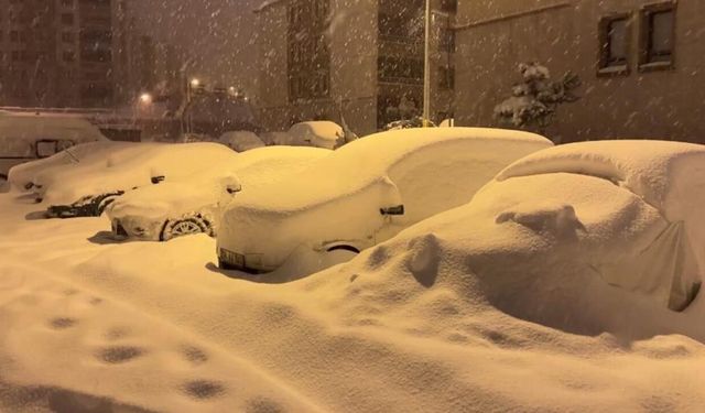 Yüksekova'da araçlar kara gömüldü