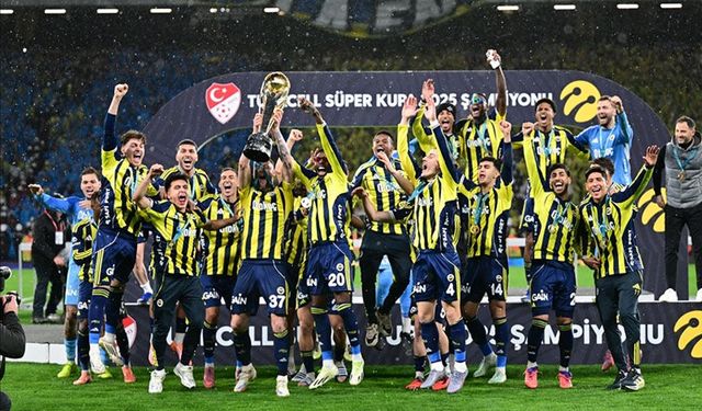 Turkcell Süper Kupa, Fenerbahçe'nin