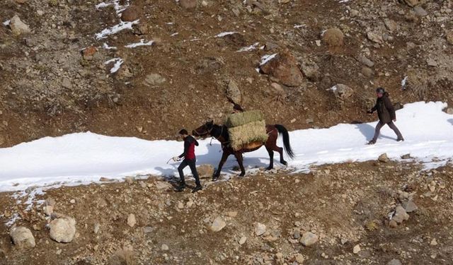 Van'da uzmanından yaban hayvanları için önemli uyarı