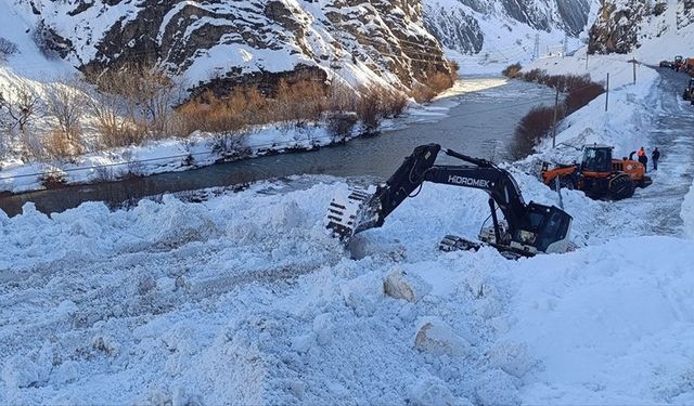 Çığ nedeniyle kapanan Hakkari-Van kara yolu açıldı