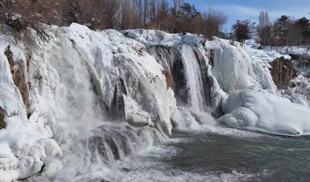 Muradiye Şelalesi buz tuttu