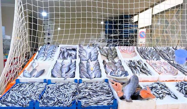 Van’da hamsi ve palamudun fiyatı düştü