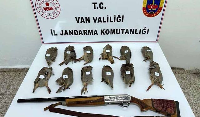 Van'da kaçak avcılığa 81 bin TL ceza