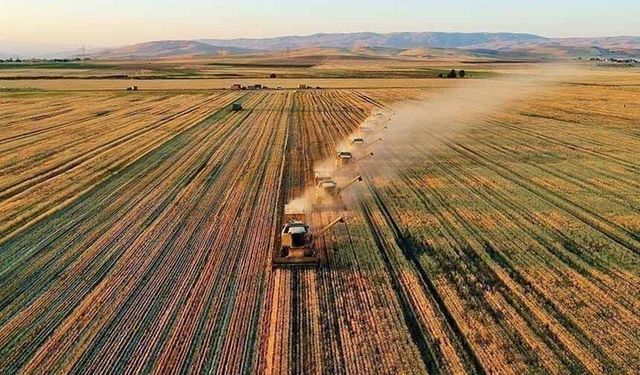 Çiftçilere tarımsal destekleme ödemesi yapıldı