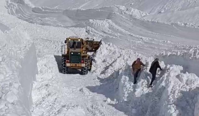 Van Bahçesaray'da mezra yoluna çığ düştü