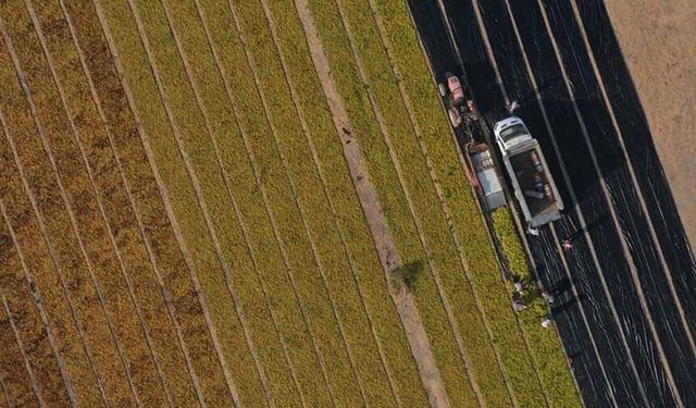 5 soruda tarıma yönelik Hazine destekli yatırım ve işletme kredileri