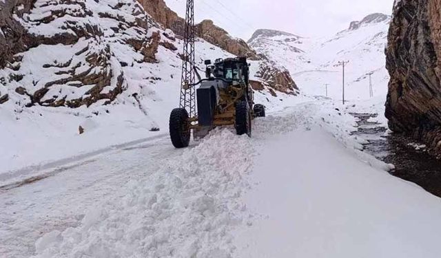 Van’da 55 yerleşim yeri yolu ulaşıma açıldı