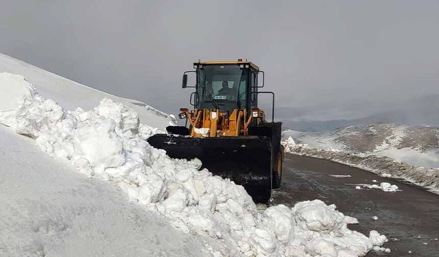 Van'da kar nedeniyle kapanan 67 yerleşim yerinin yolu açılıyor