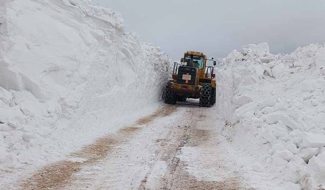 Türkiye-İran sınır hattında karla mücadele çalışması