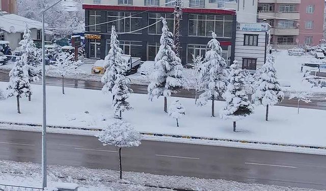 Erciş’te yoğun kar yağışı