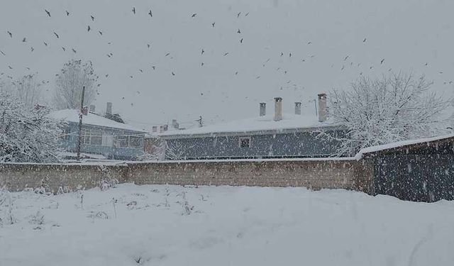 Erciş’te kar yağışı