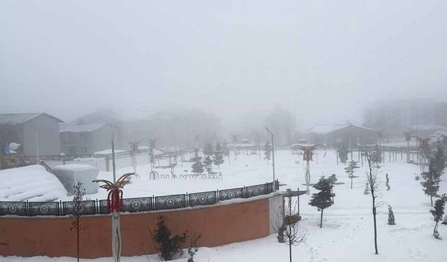 Van ve Hakkari’de karla karışık yağmur ve sis etkili oldu