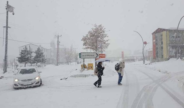 Başkale'de yoğun kar yağışı