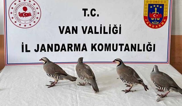 Van'da kaçak avlanmaya büyük ceza!