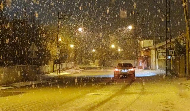 Van'da lapa lapa kar yağdı