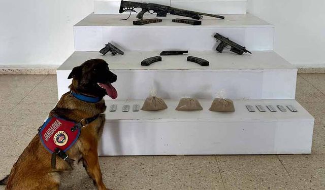 Van’da uyuşturucu ve silah ele geçirildi