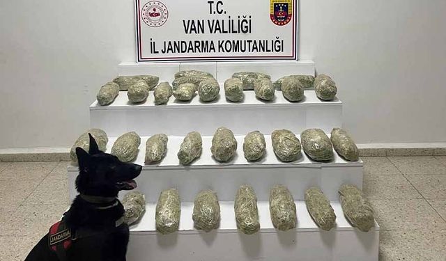 Başkale’de 21 kilo 350 gram skunk ele geçirildi