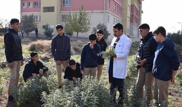 Uygulamalı eğitim en az 1 dönem olacak