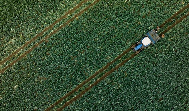 Son dönem yağışları tarımsal üretime olumlu yansıdı