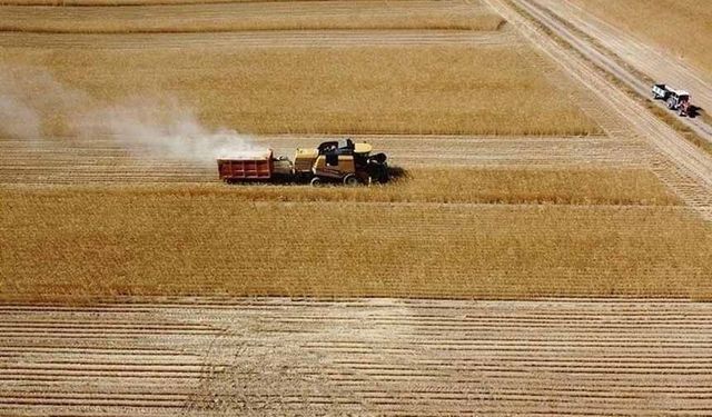 Çiftçilere 149,6 milyon liralık tarımsal destekleme ödemesi yapılıyor