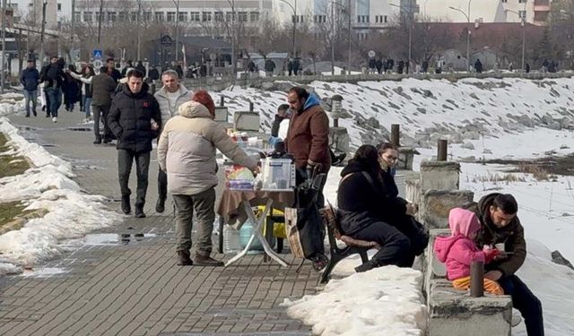 Van Gölü Sahili'nde yoğunluk