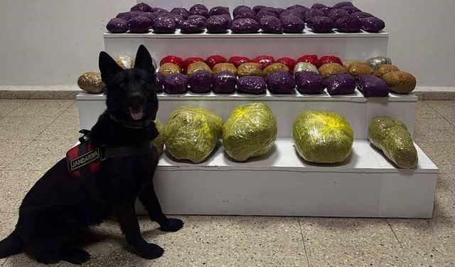 Van'da 31,5 kilo uyuşturucu ele geçirildi
